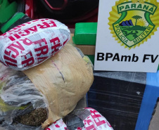 O Batalhão de Polícia Ambiental - Força Verde da Polícia Militar do Paraná apreendeu, nesta segunda-feira (12), mais de meia tonelada de drogas em Umuarama, na região Noroeste do Estado. 