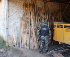  Polícia Militar apreende madeira ilegal durante operação no Sul do Paraná