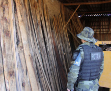  Polícia Militar apreende madeira ilegal durante operação no Sul do Paraná