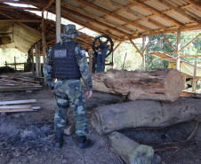  Polícia Militar apreende madeira ilegal durante operação no Sul do Paraná