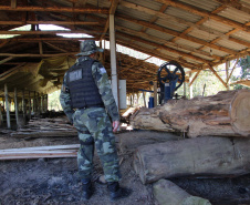  Polícia Militar apreende madeira ilegal durante operação no Sul do Paraná