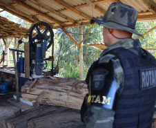  Polícia Militar apreende madeira ilegal durante operação no Sul do Paraná