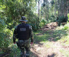  Polícia Militar apreende madeira ilegal durante operação no Sul do Paraná