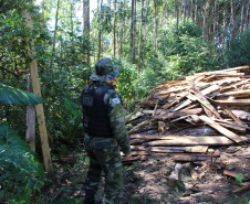  Polícia Militar apreende madeira ilegal durante operação no Sul do Paraná