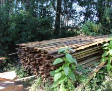  Polícia Militar apreende madeira ilegal durante operação no Sul do Paraná