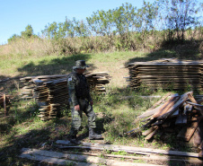  Polícia Militar apreende madeira ilegal durante operação no Sul do Paraná