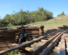  Polícia Militar apreende madeira ilegal durante operação no Sul do Paraná