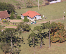  Polícia Militar apreende madeira ilegal durante operação no Sul do Paraná