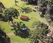  Polícia Militar apreende madeira ilegal durante operação no Sul do Paraná