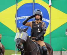  Unidade mais antiga da PM, Regimento de Polícia Montada completa 144 anos