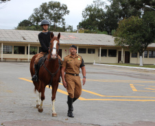  Unidade mais antiga da PM, Regimento de Polícia Montada completa 144 anos