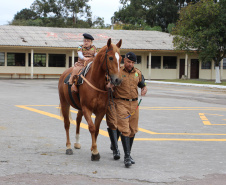  Unidade mais antiga da PM, Regimento de Polícia Montada completa 144 anos