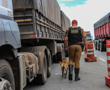  Polícia Militar intensifica fiscalização nas rodovias estaduais no Corpus Christi