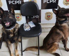 PCPR prende três pessoas em operação contra tráfico de drogas e falsificação de dinheiro