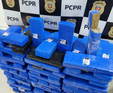 Apreensão de maconha aumenta 64% no Paraná nos primeiros cinco meses de 2023