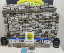 Apreensão de maconha aumenta 64% no Paraná nos primeiros cinco meses de 2023