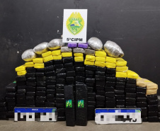 Apreensão de maconha aumenta 64% no Paraná nos primeiros cinco meses de 2023