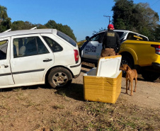  Polícia Militar apreende mais de 700 quilos de droga no Interior