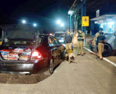 Operação Fronteiras e Divisas Integradas II apreende 5 toneladas de drogas e 86 armas