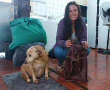 Custodiados produzem ponchos e roupas pet para moradores e cães de rua em Cascavel