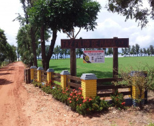Em um ano, Patrulha Rural registra aumento de 300% nas apreensões de armas no Paraná