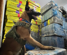 Polícia Militar apreende quase 4 toneladas de droga em Pato Bragado