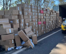 Polícia Rodoviária apreende 765 caixas de cigarros contrabandeados na PR-323