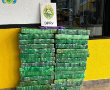 Entre junho e julho, apreensão de maconha pela PM cresceu 64% em comparação a 2022
