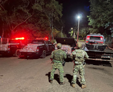  Forças de segurança apreendem 188 toneladas de maconha no 1º semestre, recorde em dez anos