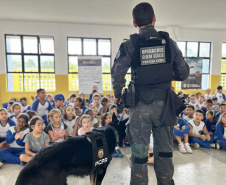 Polícia Civil leva serviços de polícia judiciária a Matinhos e o bairro Cajuru, em Curitiba