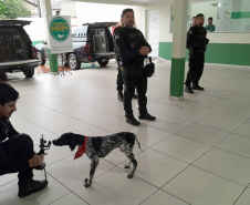  Deppen de Foz do Iguaçu promove palestra a adolescentes sobre prevenção às drogas