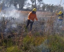  Brigadistas indígenas ajudam a conservar o patrimônio natural do Paraná