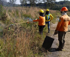  Brigadistas indígenas ajudam a conservar o patrimônio natural do Paraná
