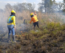  Brigadistas indígenas ajudam a conservar o patrimônio natural do Paraná