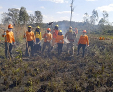  Brigadistas indígenas ajudam a conservar o patrimônio natural do Paraná