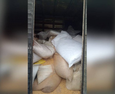 Polícia Militar apreende 7 toneladas de grãos de soja furtados em Paranaguá 