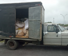 Polícia Militar apreende 7 toneladas de grãos de soja furtados em Paranaguá 