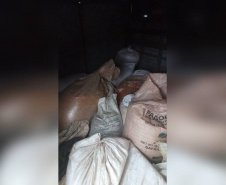 Polícia Militar apreende 7 toneladas de grãos de soja furtados em Paranaguá 