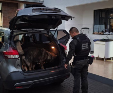  PCPR e MPPR cumprem 101 ordens judiciais contra grupo criminoso que distribui drogas