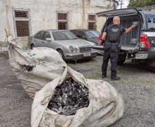PCPR apreende mais de 37 toneladas de fios de cobre e prende 139 pessoas desde 2022