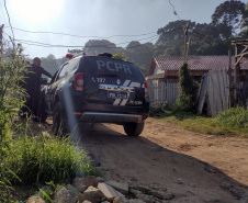 Operações de saturação da PCPR ajudam a gerar queda de 27% nos homicídios em Curitiba