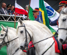 Milhares de pessoas participam do desfile de 7 de setembro em Curitiba
