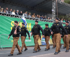 Milhares de pessoas participam do desfile de 7 de setembro em Curitiba