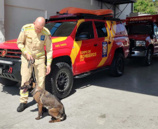 Bombeiro paranaense relata experiência no RS e reforça que operação é extremamente difícil