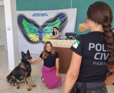 PCPR confecciona 375 carteiras de identidade em ação de cidadania em Campo Largo