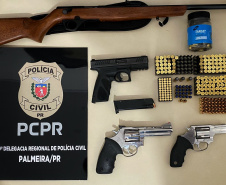 PCPR prende em flagrante homem por posse ilegal de arma de fogo em Palmeira