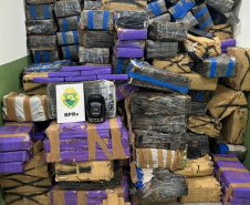 BPRV apreende 3 toneladas de maconha em operação no Norte do Paraná