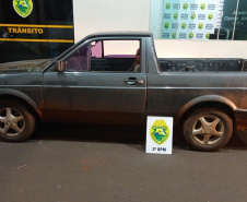 Dupla que praticava caça ilegal é presa com armas e animal abatido, em Pato Branco
