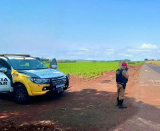 Polícia Militar registra 68 acidentes nas rodovias estaduais no feriado prolongado