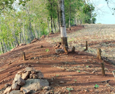 PM flagra crimes ambientais em Altamira do Paraná e Maringá